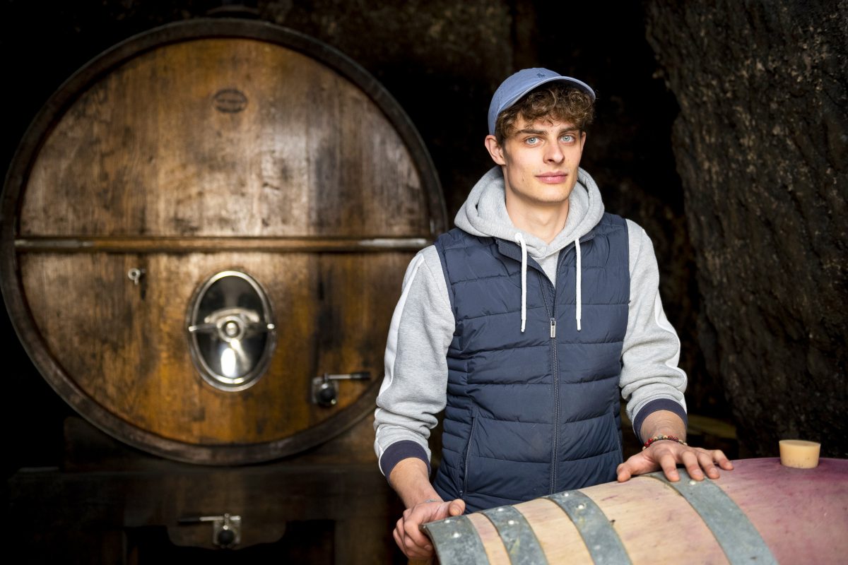 Emile Coddens, vigneron star de TikTok : « Le vin, c’est pour tout le monde ! »